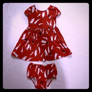 18-24 Months Polo Ralph Lauren Dress & Bloomer Set